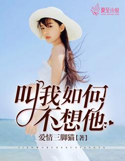叫我如何不想他廖昌永演唱视频