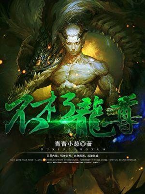 不朽龙尊穿龙族