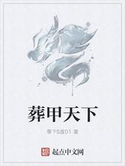 铠甲种类