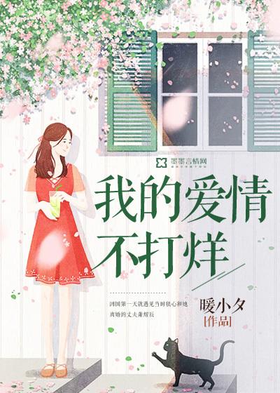 爱情不打烊插曲