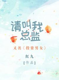 请叫我总监电视剧百度