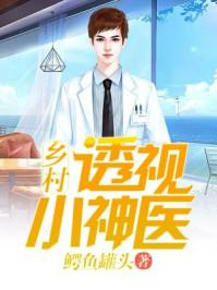 乡村透视小神医铁阳免费全文阅读无删减