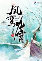 凤鸾九霄新笔趣阁