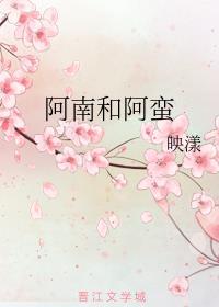 阿南阿蛮映漾讲了什么