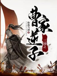 s三国之曹家逆子