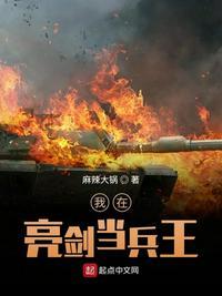 我在亮剑当战狼117章