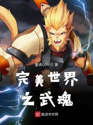 在完美世界之武魂