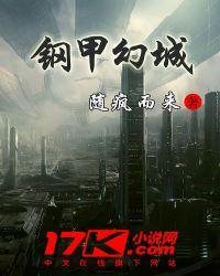 钢甲铁拳简介