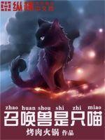召唤兽是什么意思