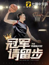 冠军请留步原著