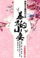 穿越沦为暴君的小妾 月影清斜