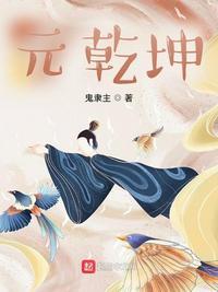 乾坤元的尺寸
