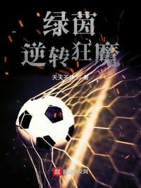绿茵逆转狂魔 第218章
