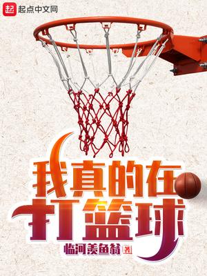我真的在打篮球百科