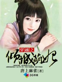 穿越之倾城王妃电视剧