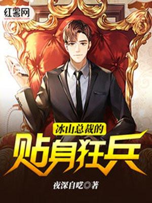 冰山总裁的贴身狂兵大结局