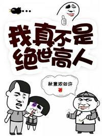 我真不是绝世高人境界划分