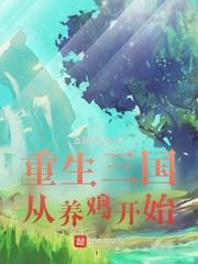 重生三国从养鸡开始境界划分