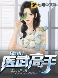 书名都市医武战神