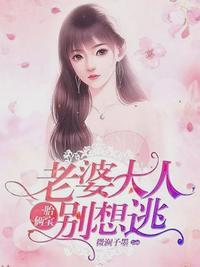 叶南弦沈蔓歌是什么