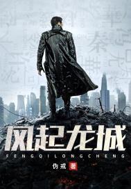 风起龙城剧情介绍