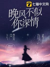 晚风不及你情深免费