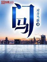 341期开什么号马澳门马