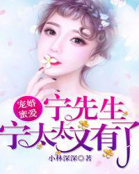 书名宠婚蜜爱宁先生