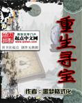 重生寻宝赌石奇遇