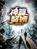 神算赘婿102集全集免费观看