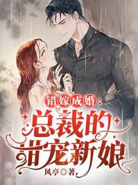 错爱成婚秦舒褚临沉