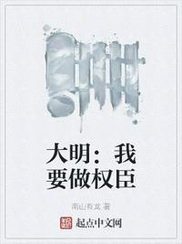大明我要做权臣 第22章