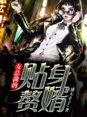 女总裁的贴身赘婿 TXT