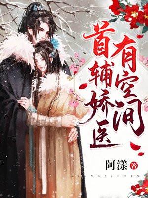 首辅娇医有空间网剧