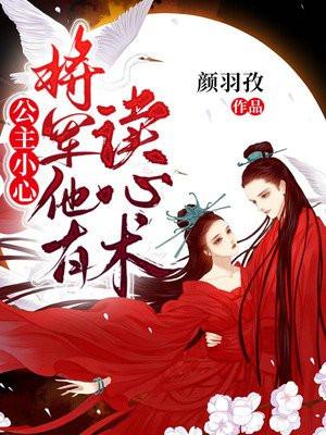 公主将军婚恋