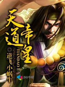 天道帝皇神圣武装