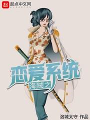 海贼王之恋爱证
