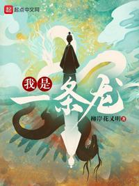 我是一条龙翻译