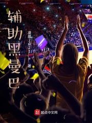 和平精英黑曼巴辅助