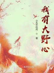 我的野心不大