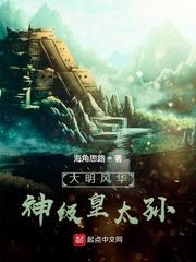 大明风华tv版和dvd版有什么区别
