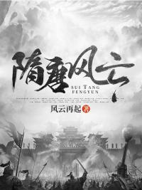 隋唐风云突厥