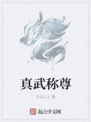 真武是什么武器