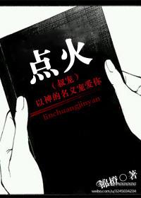 点火叔宠章节