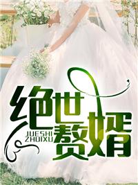至尊神婿叶昊正版