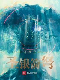 斗罗之圣剑使顶点