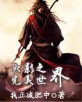 火影之完美贵公子