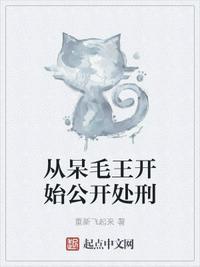 呆毛王观看顺序