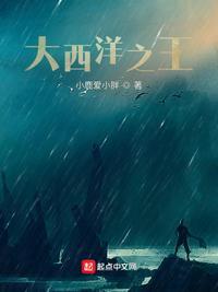 大西洋王子动画国语版高清在线播放