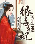 天才狂妃等级划分